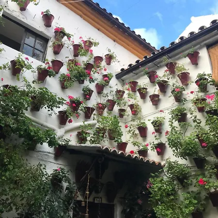 Aroma De Azahar, En San Basilio