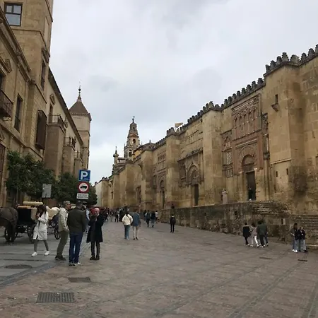Aroma De Azahar, En San Basilio 아파트