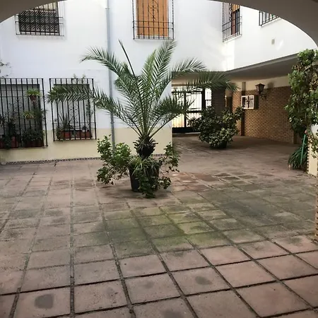 Aroma De Azahar, En San Basilio *