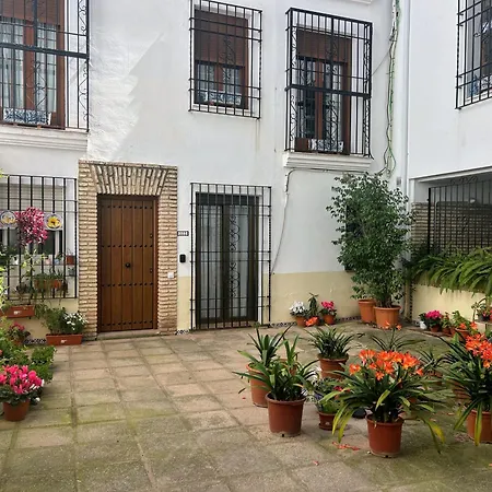 Aroma De Azahar, En San Basilio *