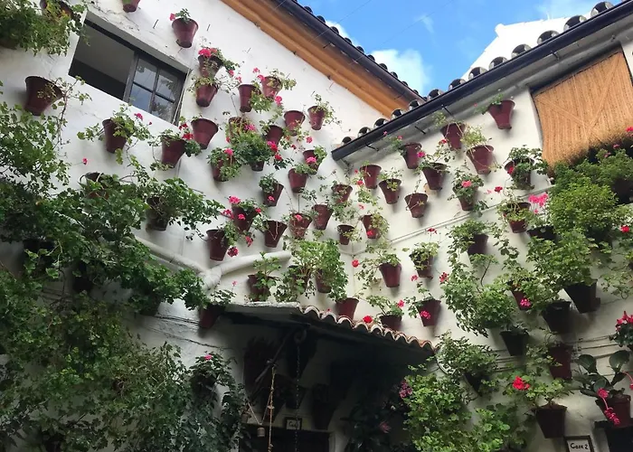 Aroma De Azahar, En San Basilio