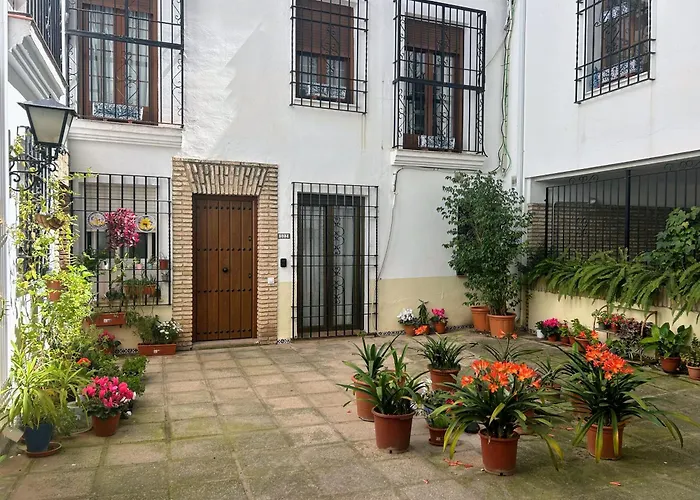 Aroma De Azahar, En San Basilio *