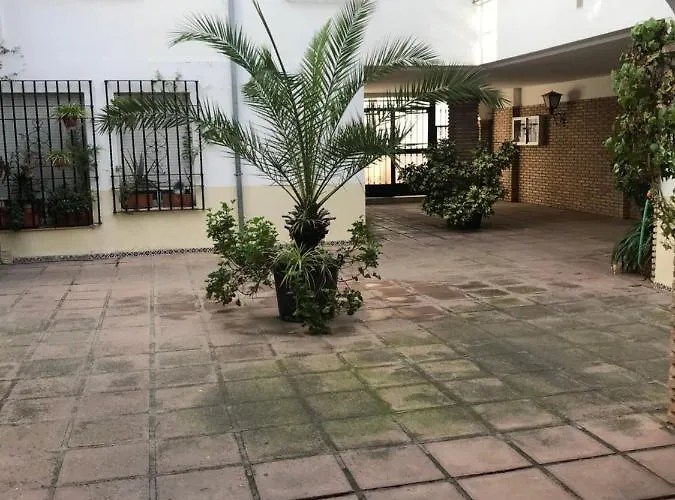 Aroma De Azahar, En San Basilio *